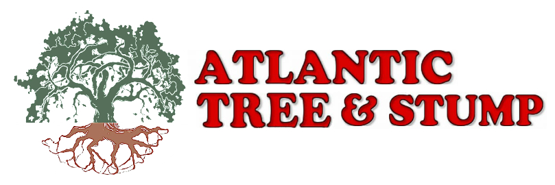Atlantic Tree and Stump - Tree Services in Charleston SC