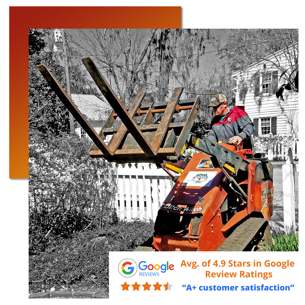 top google rated tree service in charleston